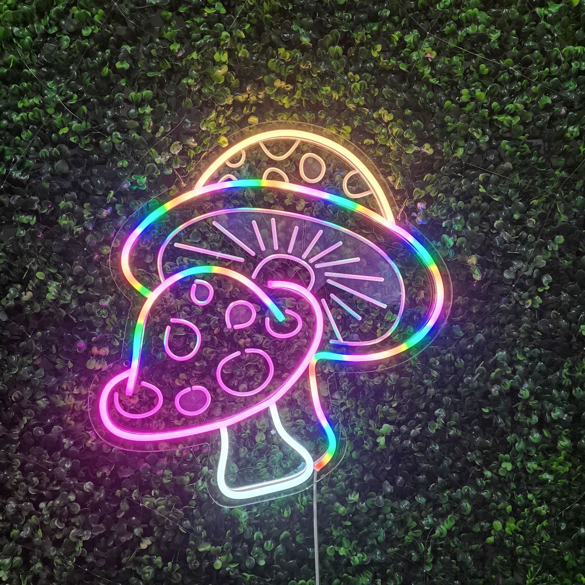 "Large Mushroom" Neon Sign Mushroom A